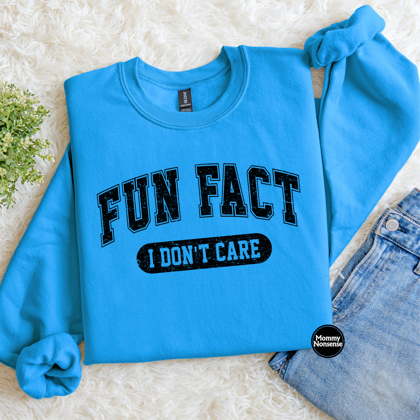 Fun Fact I Don't Care- DTF TRANSFER (L198) DTF Transfer