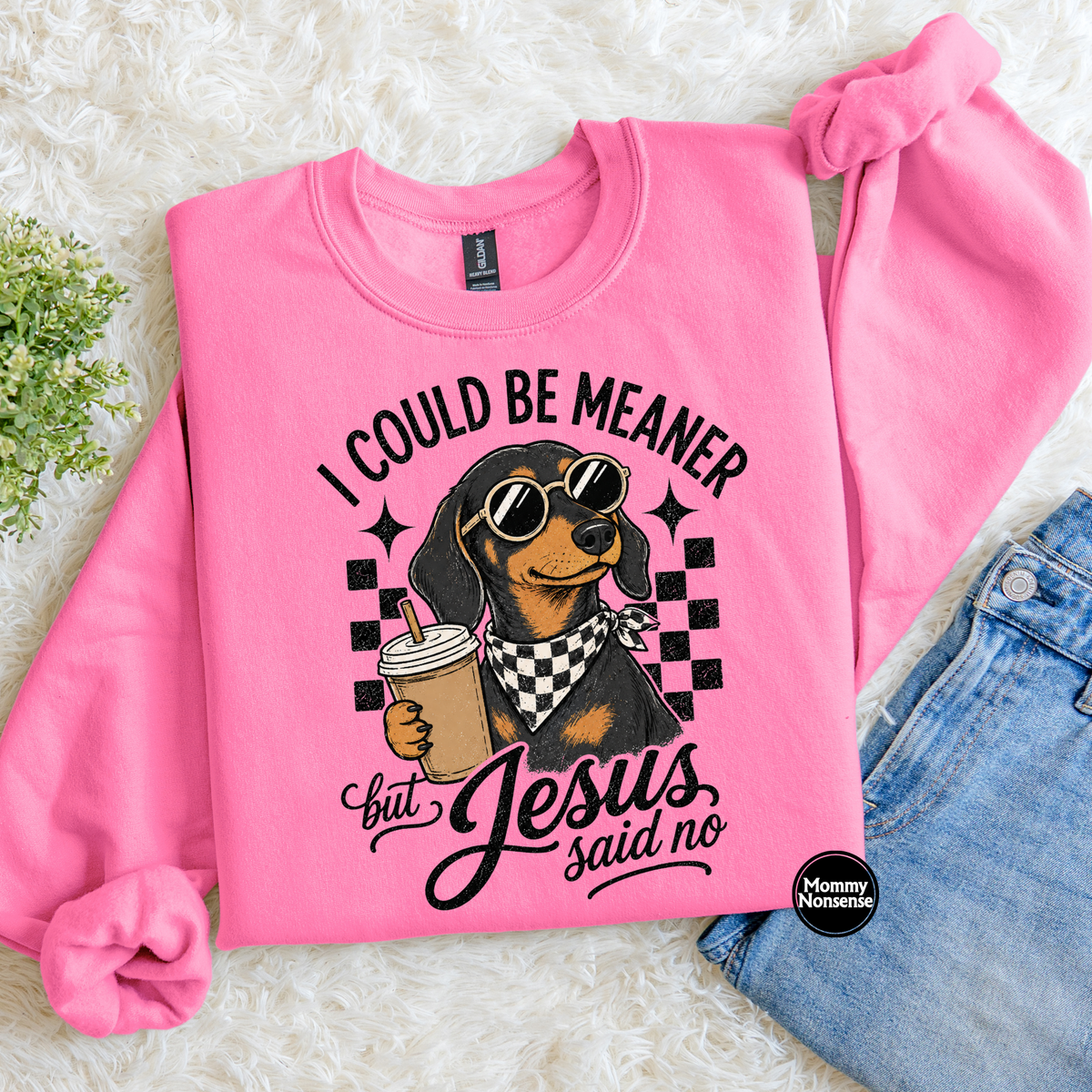 I Could Be Meaner But Jesus Says No- DTF TRANSFER (L883) DTF Transfer