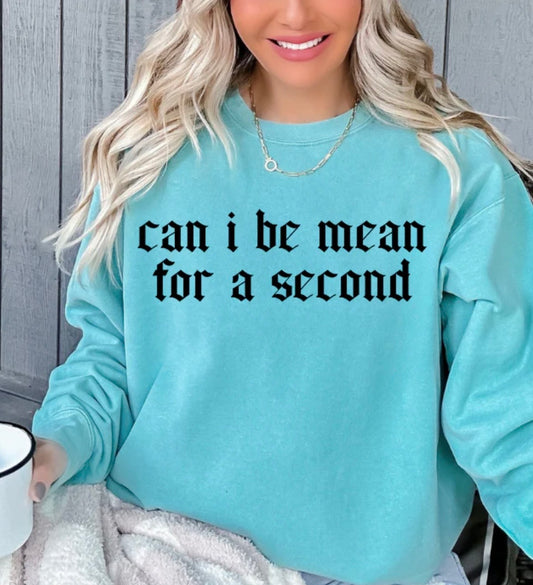 Can I Be Mean For A Second- screen print transfer (L4) HOT PEEL