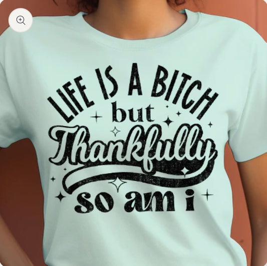 Life's A Bitch- screen print transfer (H7) HOT PEEL