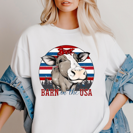 Barn in the USA - (Q7) DTF TRANSFER
