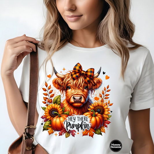 Hey There Pumpkin  -DTF TRANSFER (C9)