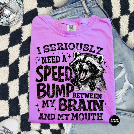 I Seriously Need a Speed Bump raccoon- DTF TRANSFER (L879) DTF Transfer