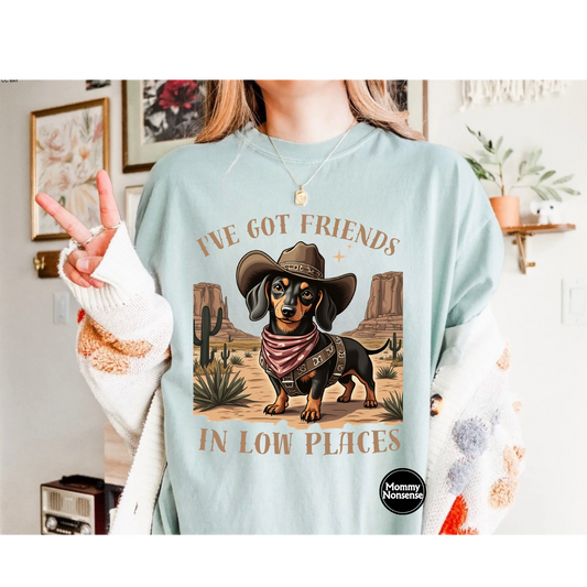 I've Got friends in Low Places- DTF TRANSFER (L643) DTF Transfer